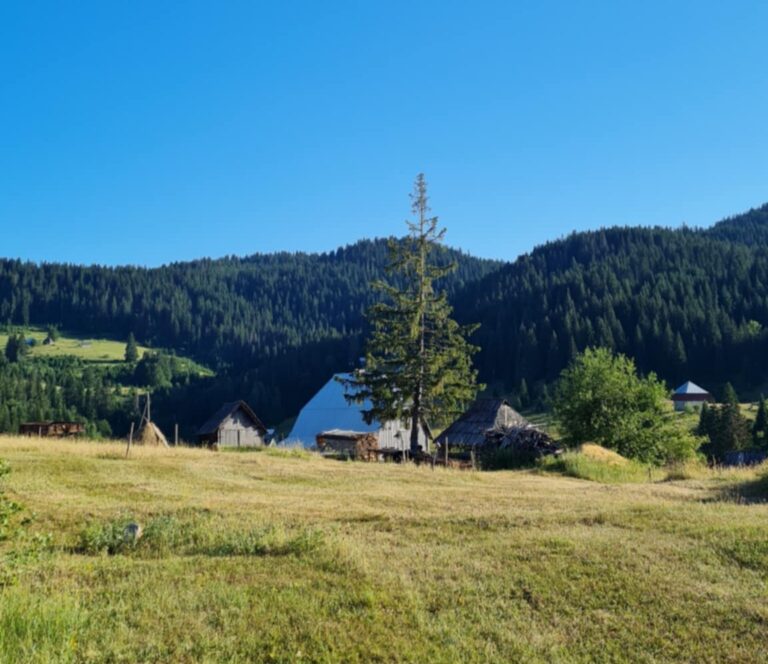 Sunčano i veoma toplo, temperatura do 38 stepeni