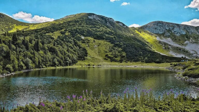 Pretežno sunčano i veoma toplo, temperatura do 38 stepeni