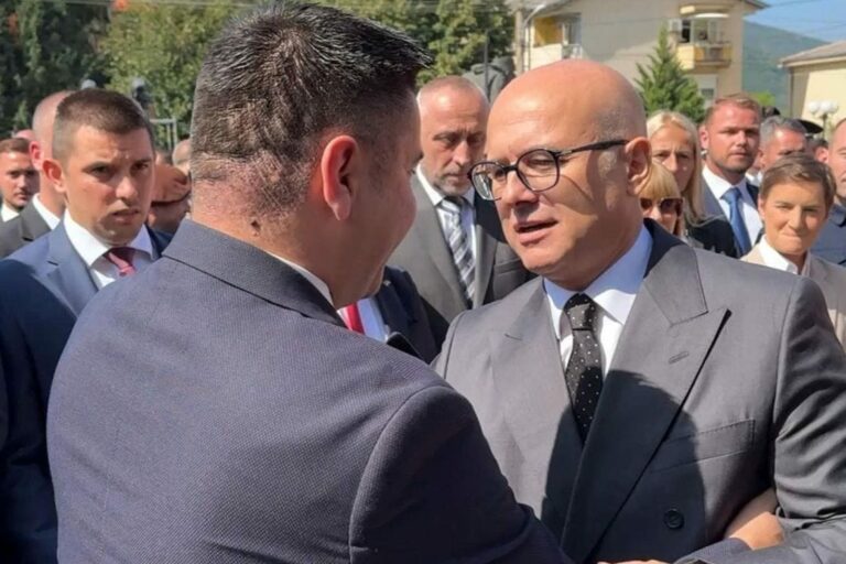Dajković: Srbi od Evrope nijesu dobili ništa, a najmanje zahvalnost