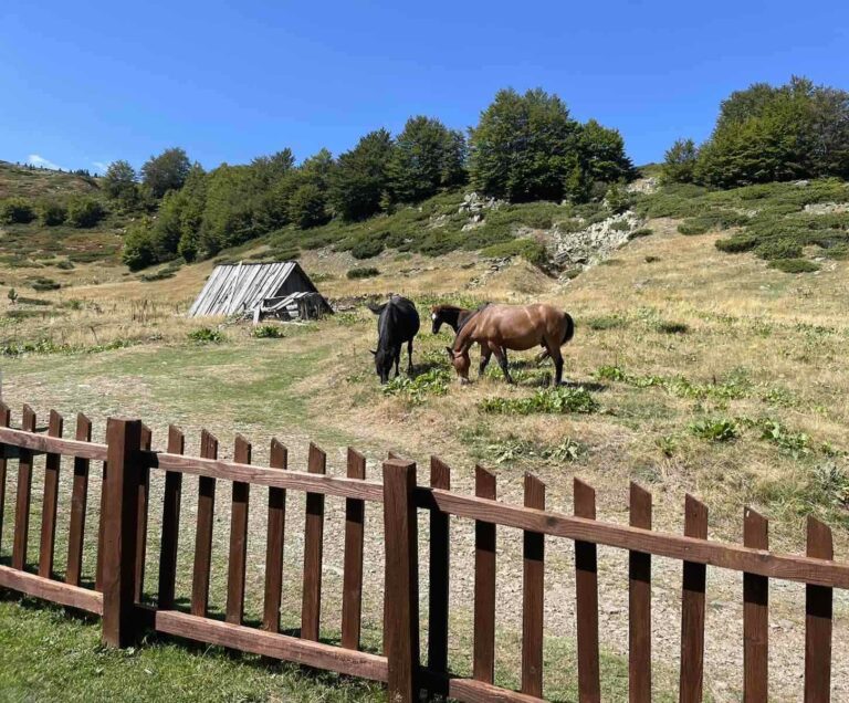 Pretežno sunčano, temperatura do 33 stepeni