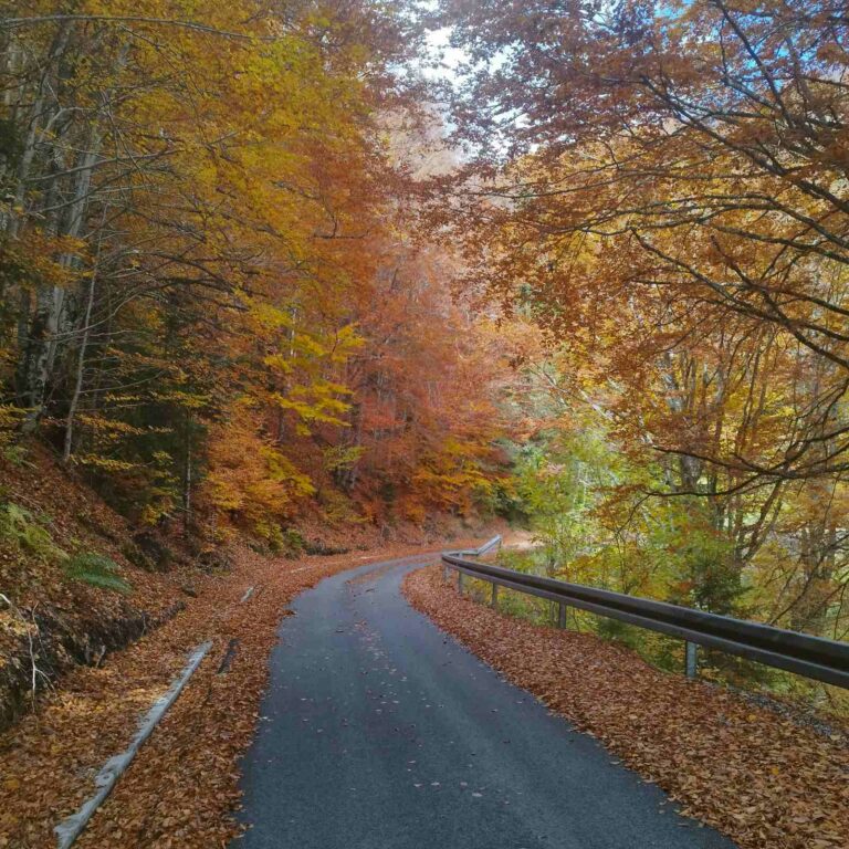 Putevi suvi, vidljivost dobra