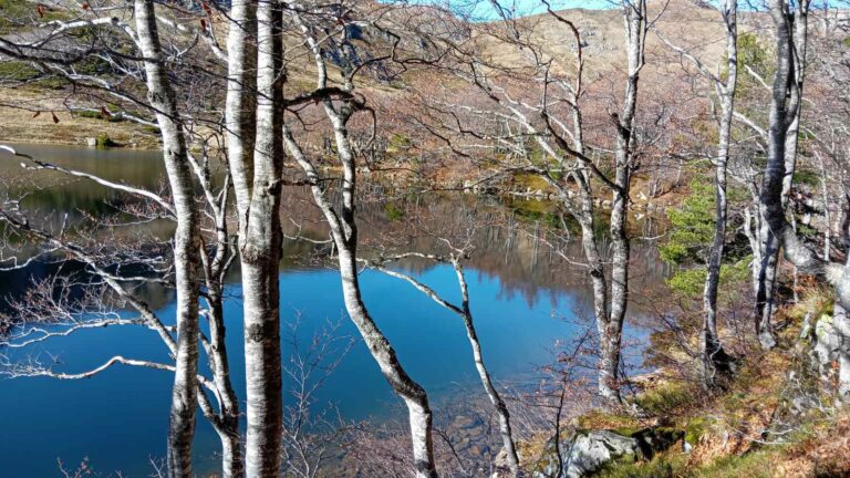 Pretežno sunčano, temperatura do 19 stepeni