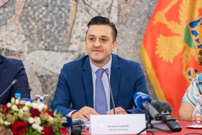 Ministar finansija Novica Vuković je u prošloj godini obavljao ukupno 30 funkcija