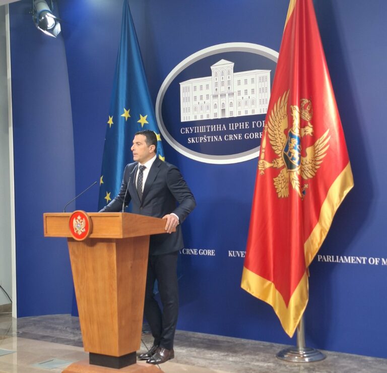Janović: Otvorene liste formirati po principu individualnih, a ne partijskih kandidatura