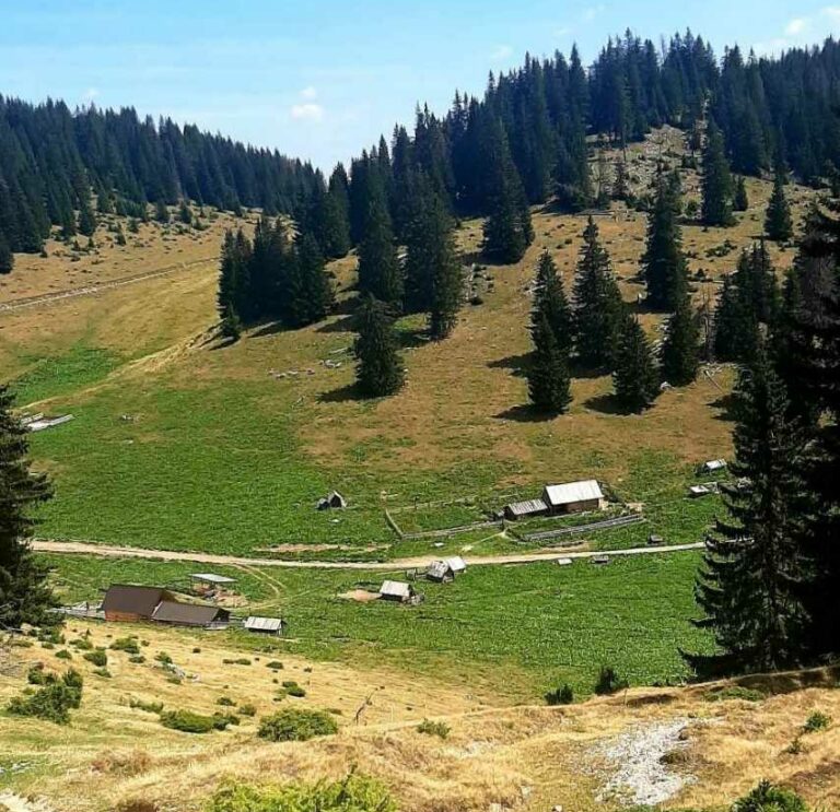 Dr. Barjaktarović: Ko aminuje i poklanja teritoriju Berana Rožajcima, Google Earth ili…
