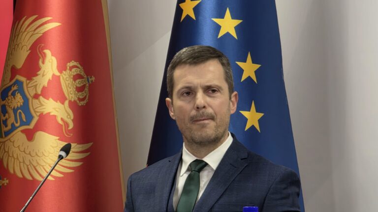 Mujović zaradio skoro 30.000 eura, uštedio 9.000; Borovinić-Bojović ima prihode iz više izvora, stan, kredit…