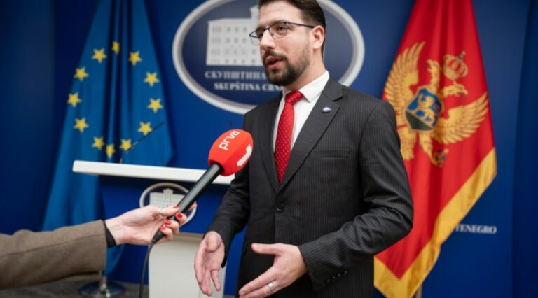 Miličić (NSD): Donijećemo odluku u skladu s voljom srpskog naroda u Crnoj Gori