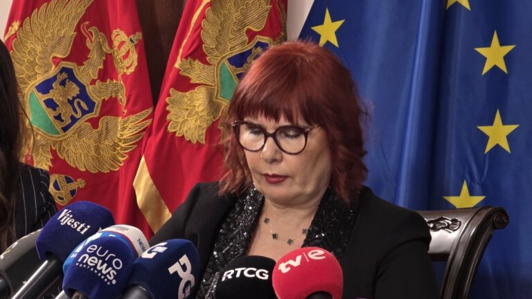Pavličić: Kontrolno saslušanje predsjednika Višeg suda nije ustavno prihvatljivo