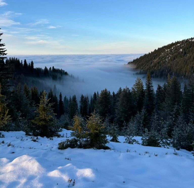 Malo do umjereno oblačno, sa dužim sunčanim intervalima