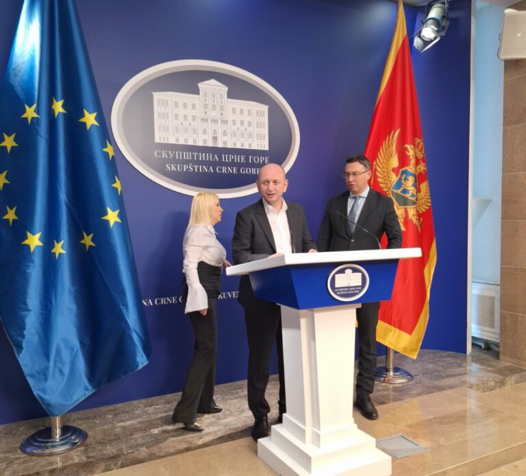 DNP: Nestrpljivo očekujemo sudski proces sa Borovinić Bojović, za svjedoke ćemo pozvati Erakovića, Đukanovića i Milovića