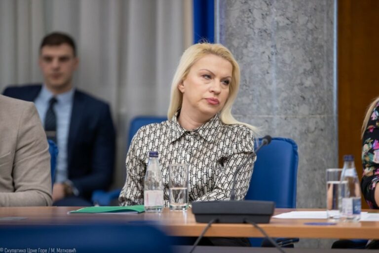 Kljajević: PES traljavo odradio smjenu u Odboru direktora Aerodroma, cilj je jasan