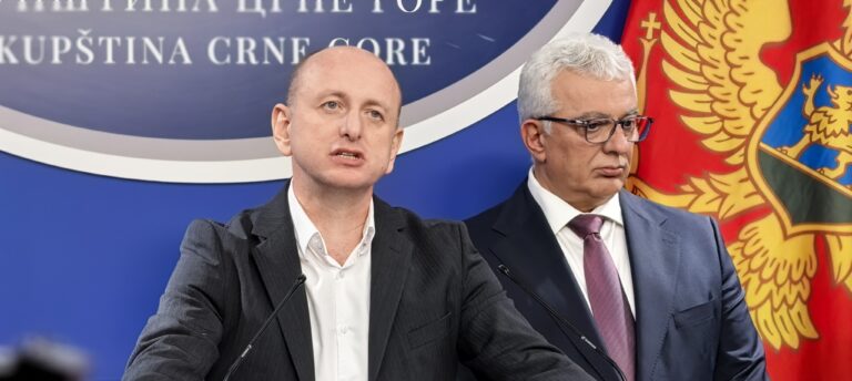 Bešić: Knežević vrlo svjesno ide sa radikalnim temama, Mandić je tu u problemu