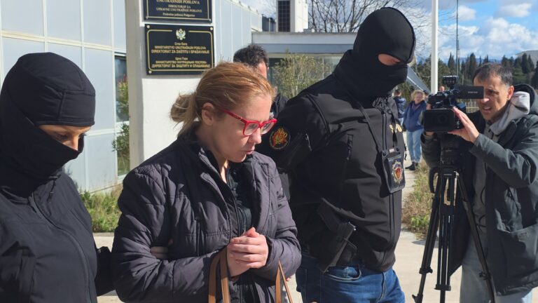 Vesni Bratić određen pritvor do 30 dana