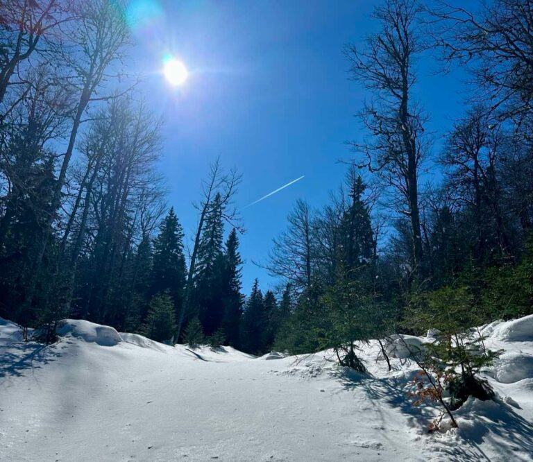 Sunčano vrijeme, temperatura do 20 stepeni