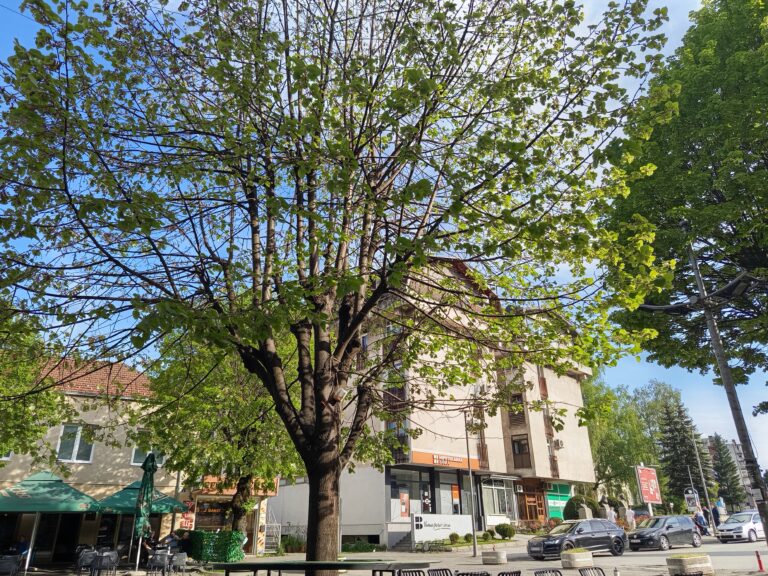Danas sunčano i toplo, temperatura do 27 stepeni
