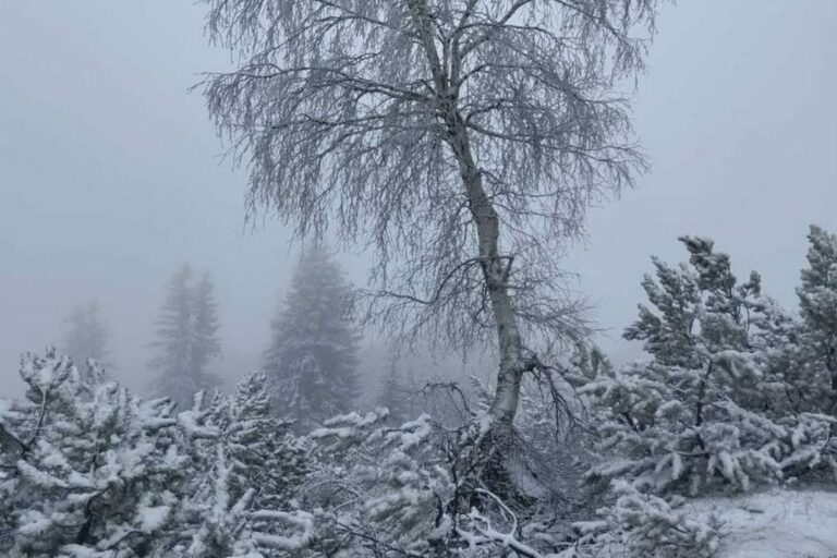 (FOTO) Snijeg u maju: Zabijeljelo na Durmitoru