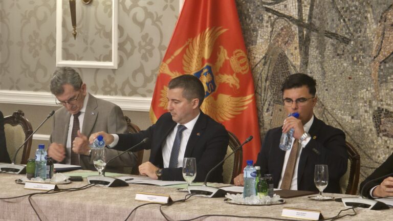 Šaranović: U biračkom spisku preminuli, pogrešne adrese, hiljade građana bez lične karte…