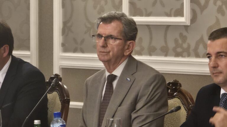 Camaj: Birački spisak treba srediti i u dijelu dijaspore koja se vratila u Crnu Goru i sada ima problema sa papirima