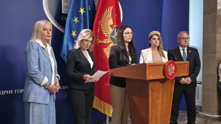 DPS se obratio Satleru: Zakonski mehanizmi nisu adekvatni za zaštitu žena