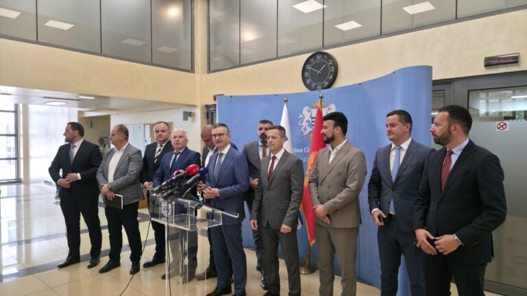 Šarec: Opštine više uključiti u kreiranje zakona