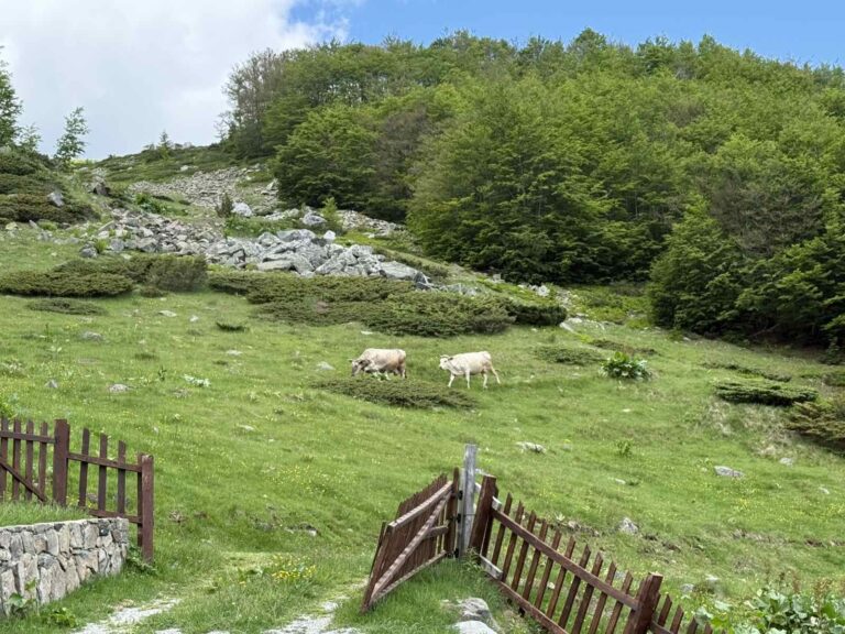 Sunčano i toplo, krajem dana moguće vremenske nepogode
