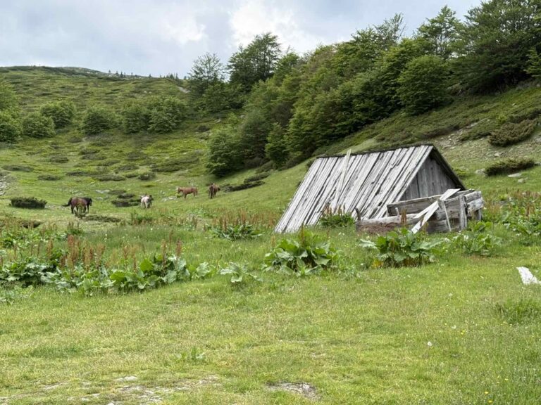 Pretežno sunčano, poslijepodne moguća kiša i grmljavina