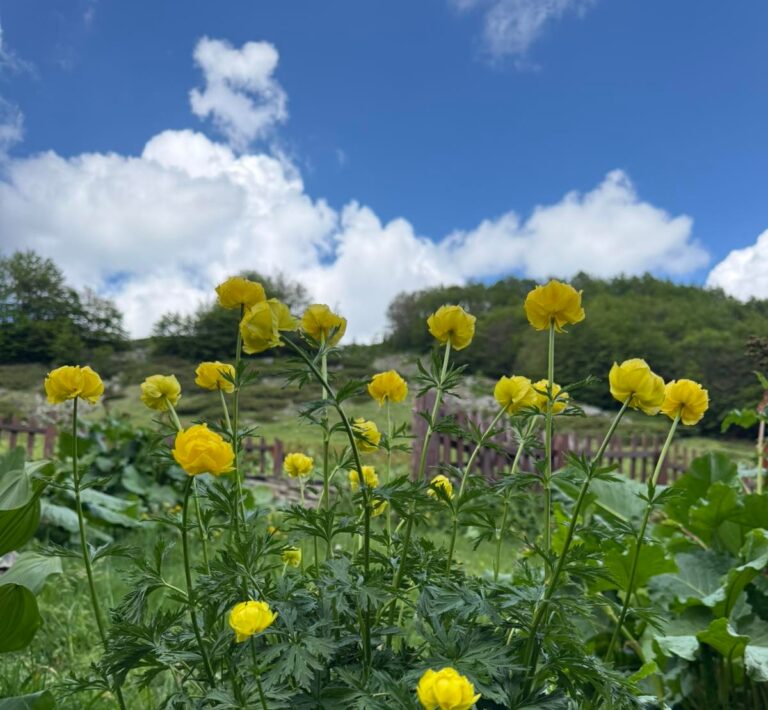 Pretežno sunčano, temperatura do 30 stepeni